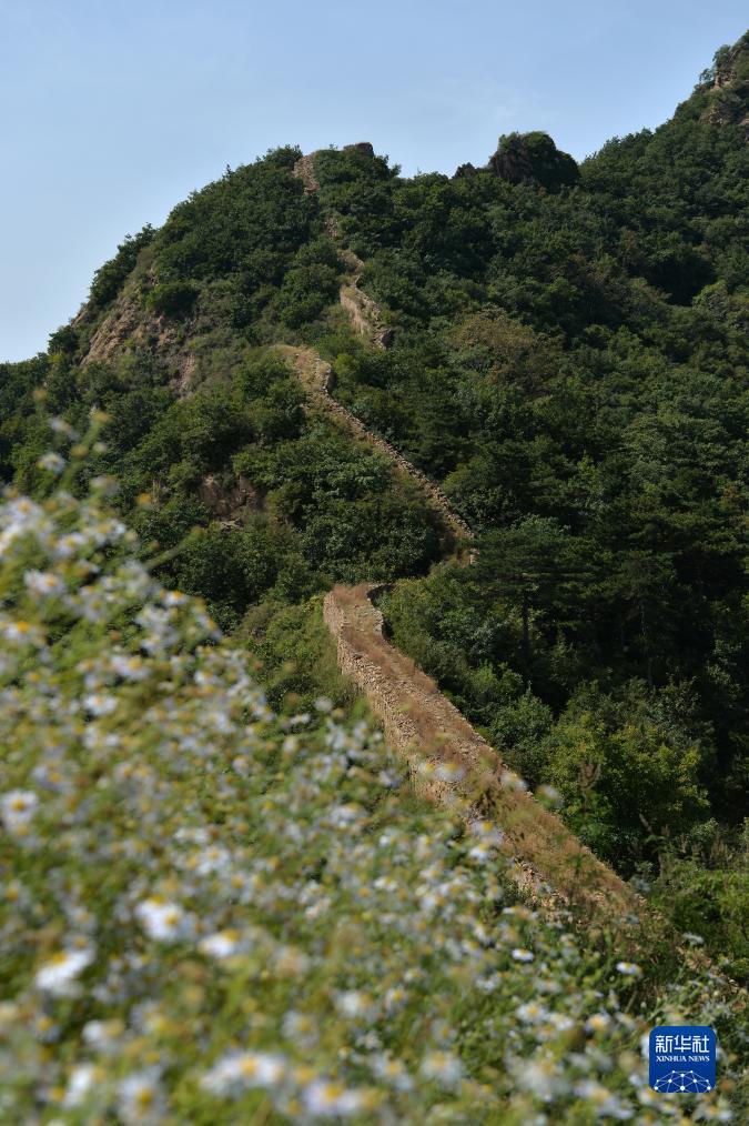 凯旋娱乐有没有苹果版